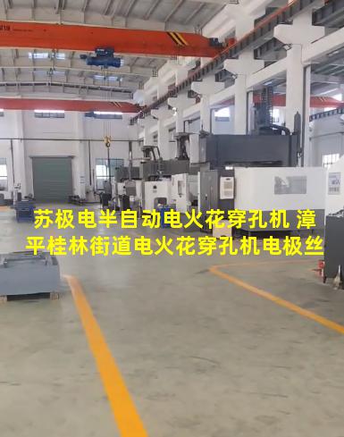 苏极电半自动电火花穿孔机 漳平桂林街道电火花穿孔机电极丝